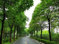 -广东花都湖国家湿地公园