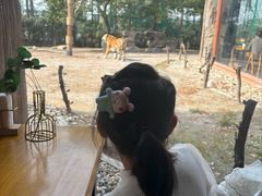 -上海野生动物园老虎餐厅