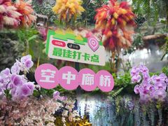 -正佳雨林生态植物园