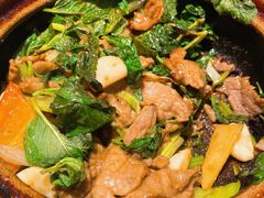 薄荷啫牛肉-煲煲好(朝阳门店)