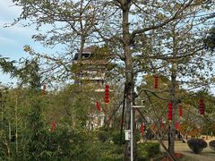 -大湾区中央湿地公园