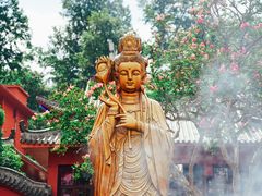 -黔灵山公园
