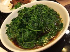 -新南华大酒店(广中店)