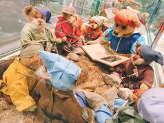 -济州岛泰迪熊博物馆