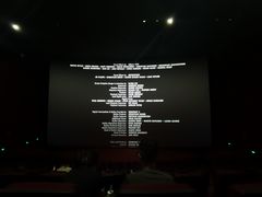 -悦江新远影城IMAX