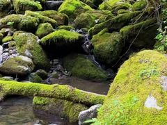 -神农架景区