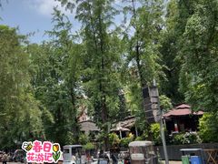 -听香·678茶铺(猛追湾店)