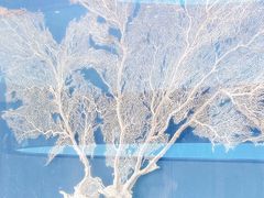 -中国湿地博物馆