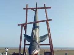 -刘家湾赶海园