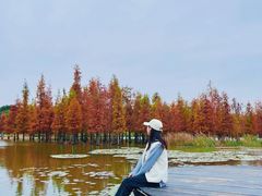 -白鹭湾湿地公园