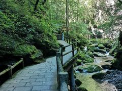 -牛背梁国家森林公园