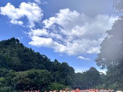 -清泉湾生态旅游度假区