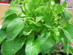 -中鑫之宝领克中心(姚家园店)