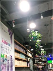 -阿兵荣辉美容理发有限公司