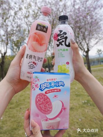 春日限定深圳这里像极了樱花大道～绝美！