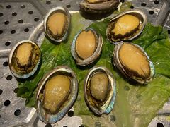 鲍鱼-船奇蒸汽海鲜·闽菜(八市海鲜总店)