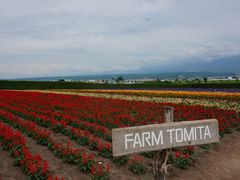 -富田农场