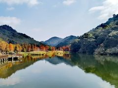 -广州市石门国家森林公园