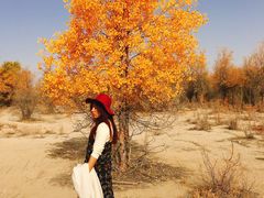 -木垒胡杨林