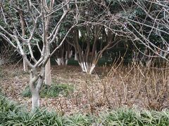 -荆川公园