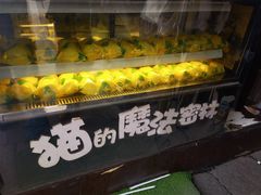 -猫的魔法密林(衣裳街店)