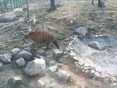 -西安秦岭野生动物园