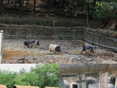 -加顺农场餐厅