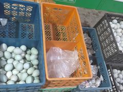 -白洋淀绿淀尚品土特产