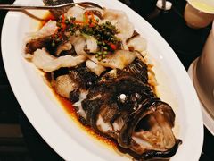 青花椒蒸龙胆鱼-闽和南(深圳万象城店)