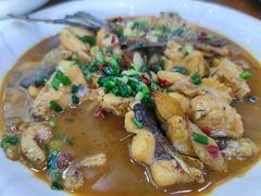 -全乐鱼馆·淳牌有机鱼直营店