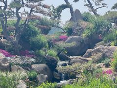 -罗红摄影艺术馆