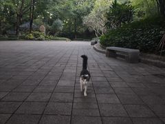 -晓港公园