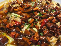 -雲蜀龙阁·金牌水煮鱼(方庄店)