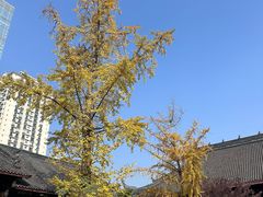 -古大圣慈寺