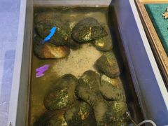 -十八字金·银饰·开蚌DIY·手工体验团建(世纪金源店)