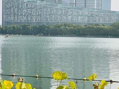 -天鹅湖体育公园