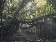 -青青世界