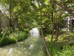 -西溪国家湿地公园