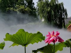 -黄兴公园