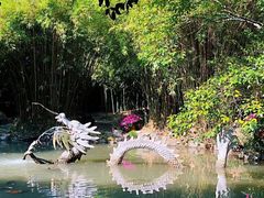 -汇龙潭
