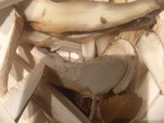 -黔蘑菇四季餐厅(观山湖店)