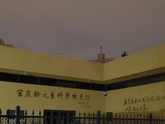 -中国宋庆龄青少年科技文化交流中心