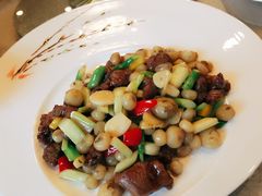-麒麟中餐厅·经典粤菜·地道菜式老字号(广州长隆酒店)