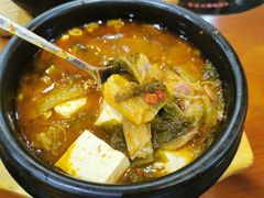 狗肉炖豆腐-老朴饭店(邮政街总店)