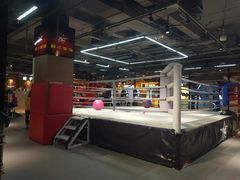 -FC格斗拳馆(东街店)