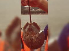 -乌石塘景区