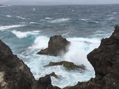 -龙坑生态保护区