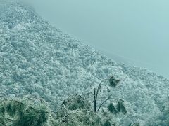 -金子山原生态旅游风景区