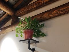 -紫腾大院·南京菜(江宁店)