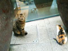 -静安公园(静安寺街道)